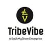 TribeVibe logo
